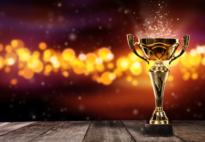 IMA Accounting Faculty of the Year Award